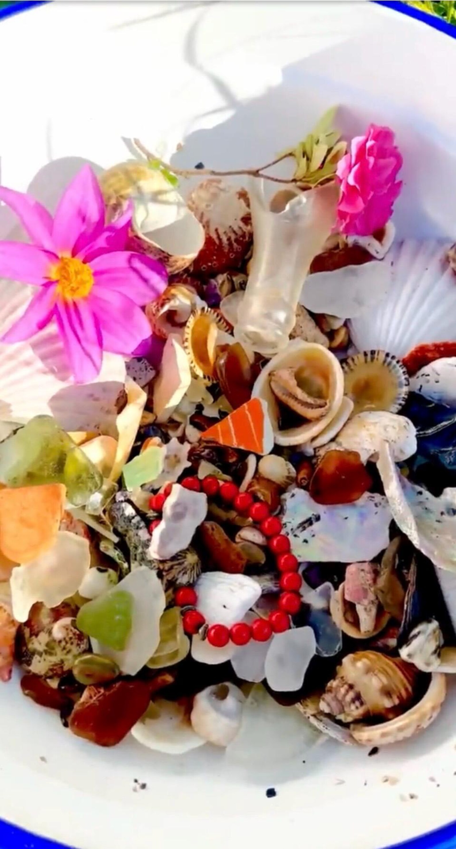 Australian Sea Shell & Glass Confetti Mix: Beachcombing Finds (2kgs) - Etsy