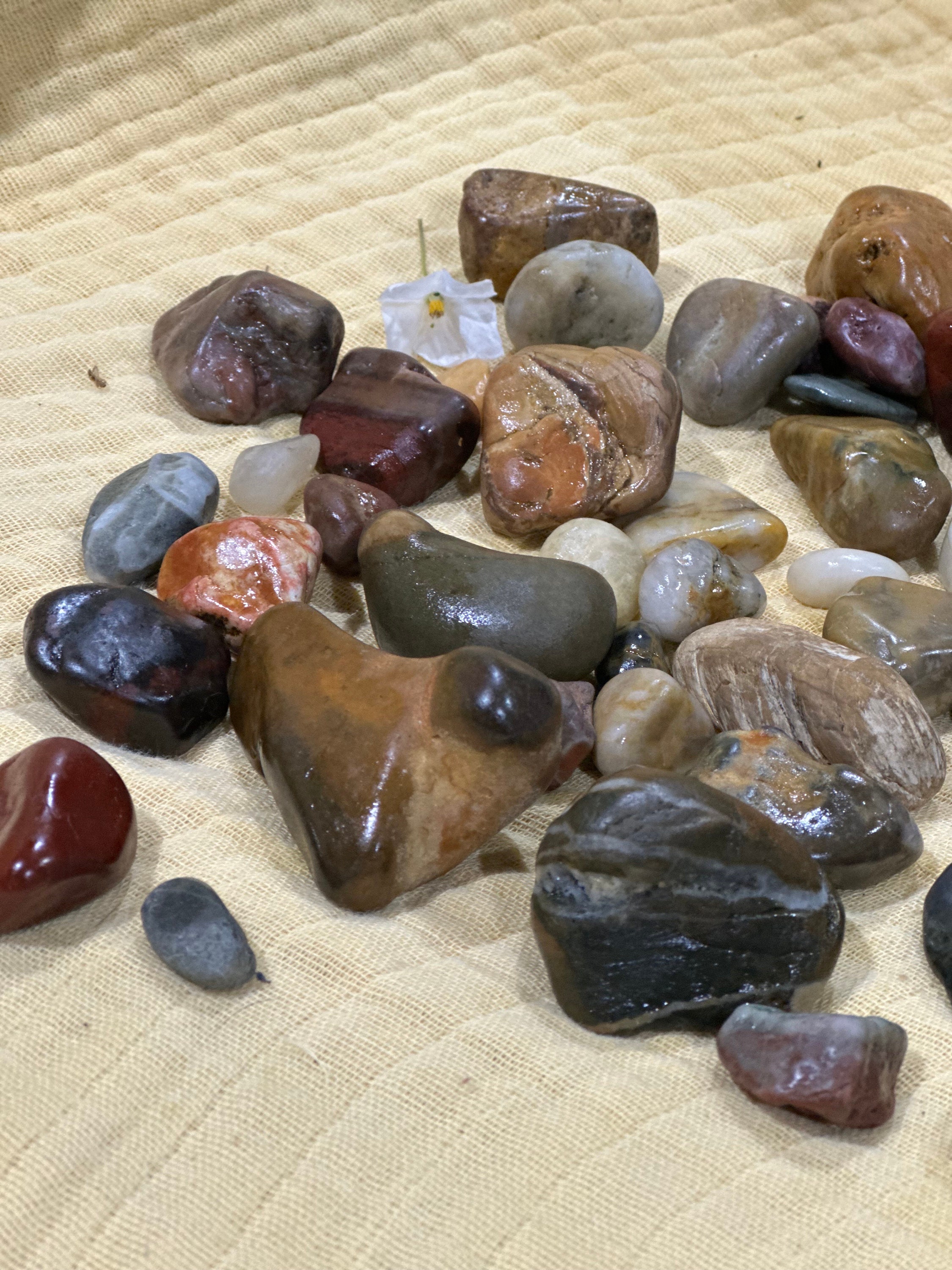 Raw Australian Ocean Tumbled Rocks / Stones Naturally Beach Combed ...