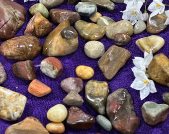 Pietre levigate dell'oceano australiano: rocce pettinate dalla spiaggia, colori misti (500 g)