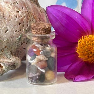 May include: A small glass jar with a cork lid filled with a variety of colorful stones, shells, and beads. The jar is sitting on a white surface next to a large seashell and a pink flower.