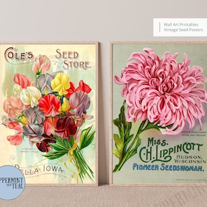 Vintage Blumensamen, Werbeplakate, Kunstset mit zwei Drucken, JPEG Digitale Dateien, Vintage Blumendrucke, Kunstdrucke, druckbare Wandkunst.