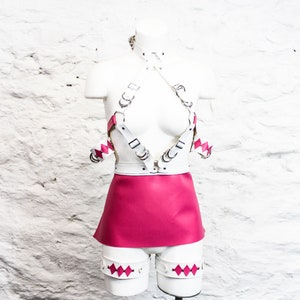Pink Ranger Harness Gift Set