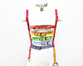 Pride Harness Gift Set