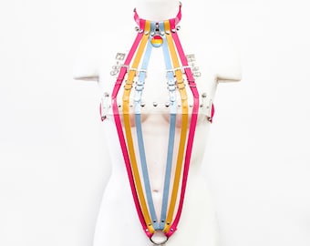 Pansexual Pride Harness