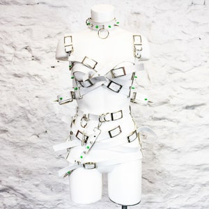 Harley&#39;s Asylum Harness Bondage Gift Set