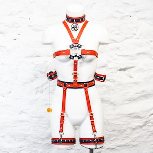 Dragon Ball Anime Harness Gift Set