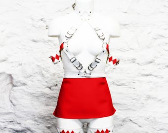 Red Ranger Harness Gift Set