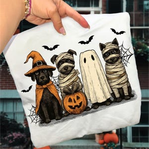 May include: White Halloween-themed pillow featuring four dogs in costumes: a witch, two mummies, and a ghost. The witch dog wears an orange hat and cape. A carved pumpkin sits in front of the mummy dogs. Black bats and spiderwebs complete the design.