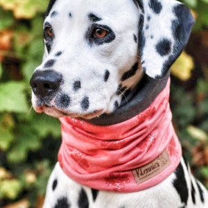 Dog scarf / loop customization mix and match optional PERSONALIZED