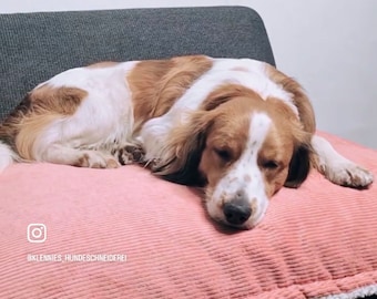 Dog blanket made of cozy corduroy and teddy fur for on the go, on the sofa or in the office