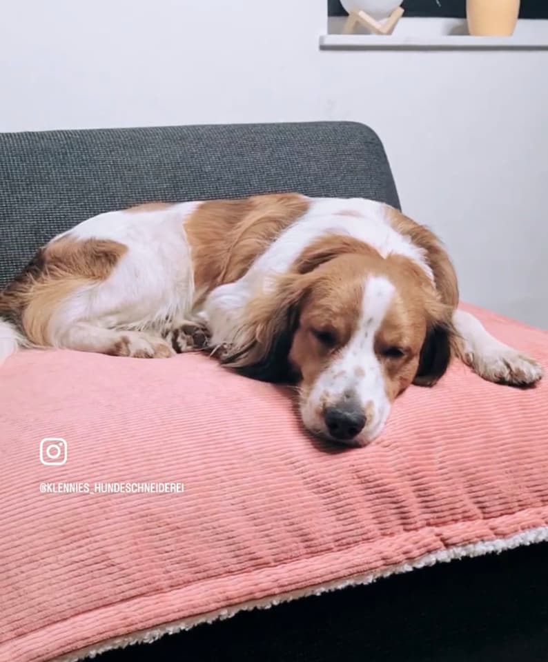 Hundedecke aus kuscheligem Cord und Teddyfell für Unterwegs, Sofa oder Büro Bild 2