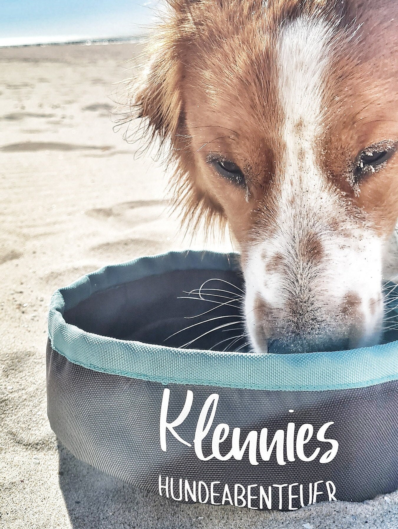 african grey play stand