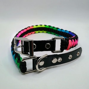 May include: A dog collar with a rainbow-colored paracord braid and a black leather strap. The collar features a silver-colored metal buckle and a D-ring for leash attachment. The collar is approximately 1 inch wide.