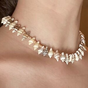 Tan shell Necklace