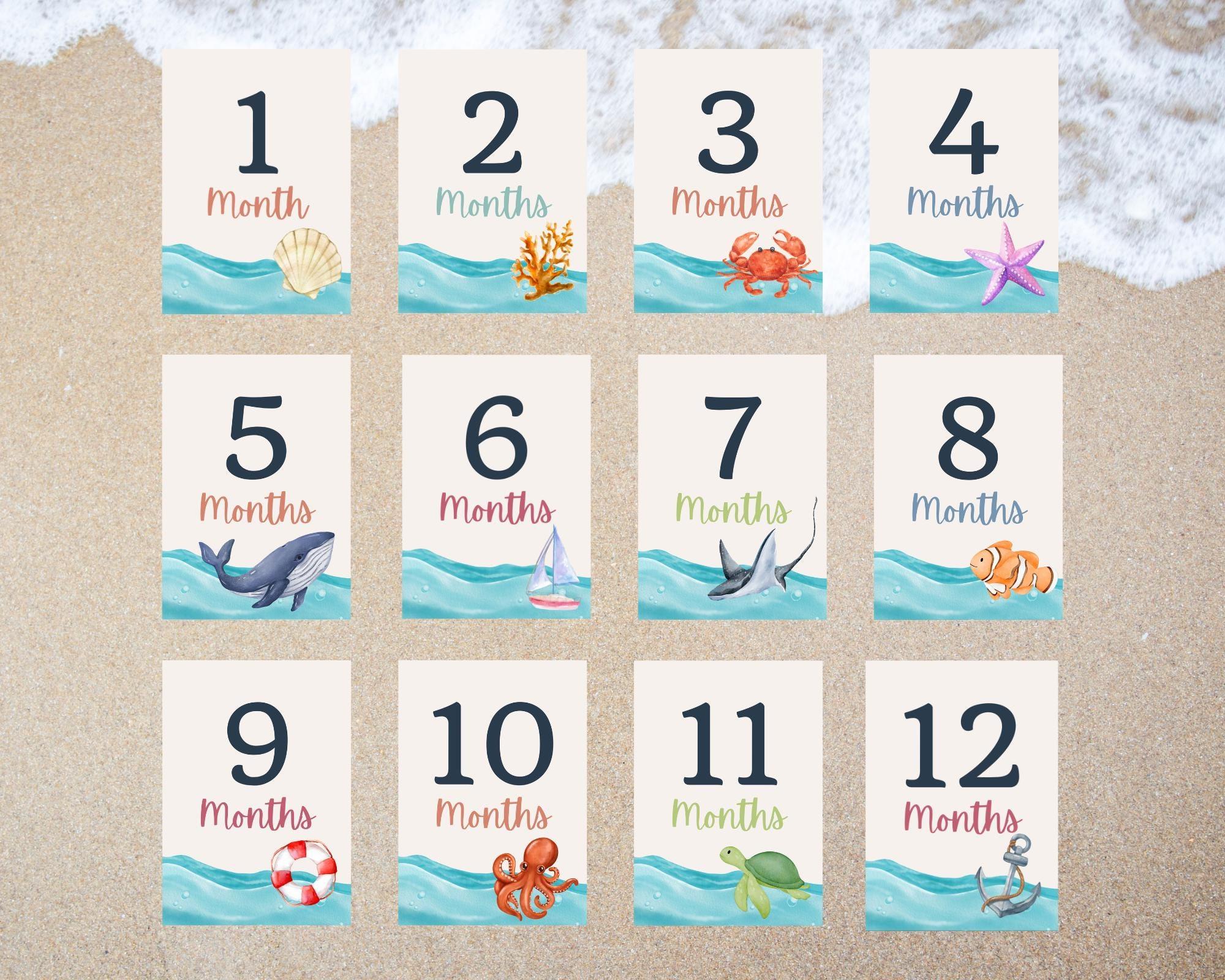 Under the Sea Baby Milestone Cards, Nautical Monthly Photo Props, Ocean ...