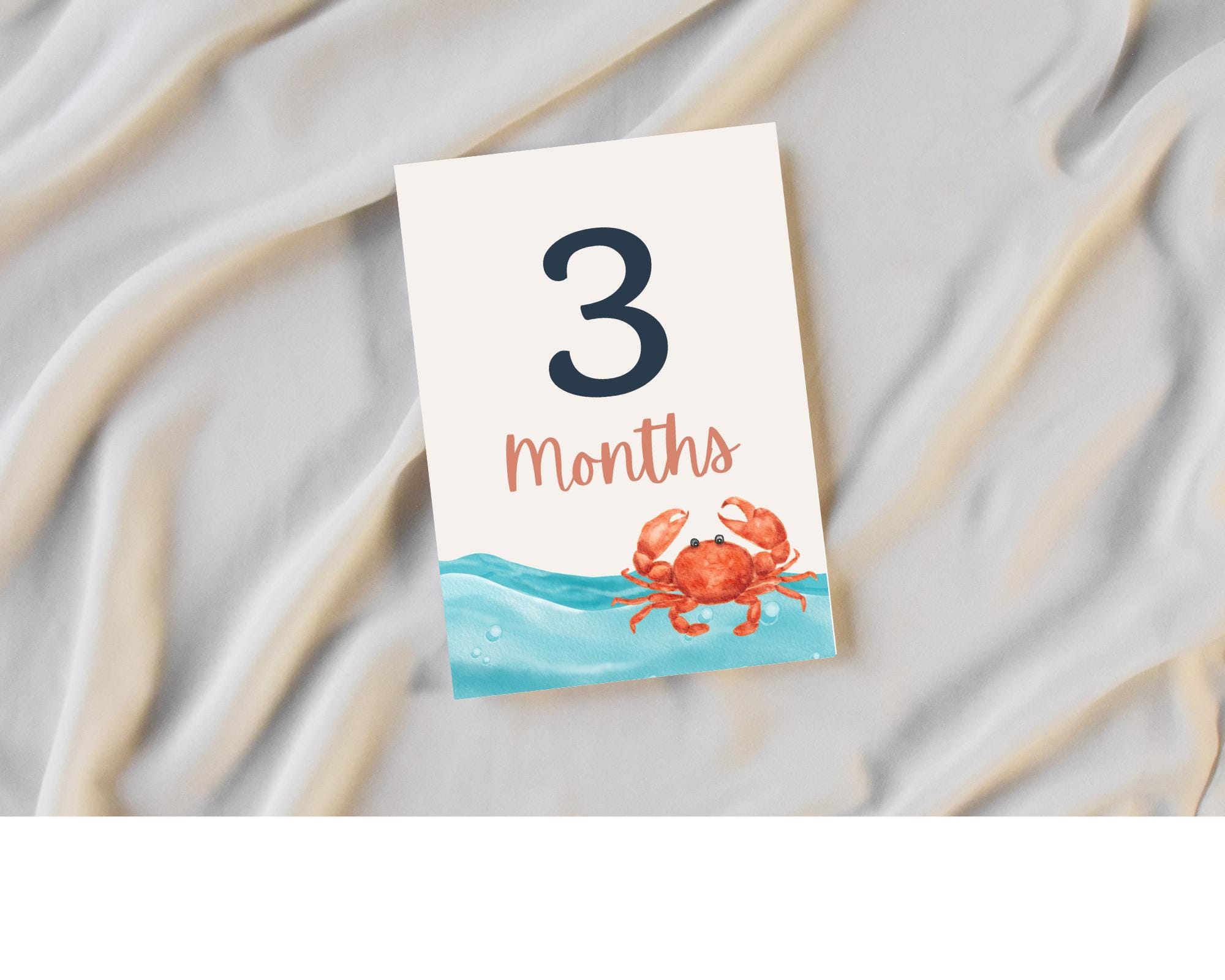 Under the Sea Baby Milestone Cards, Nautical Monthly Photo Props, Ocean ...