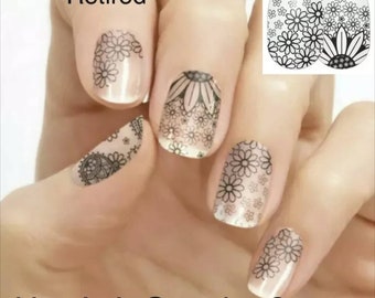 Color Street - ¿CÓMO ESTÁ CRECIENDO?