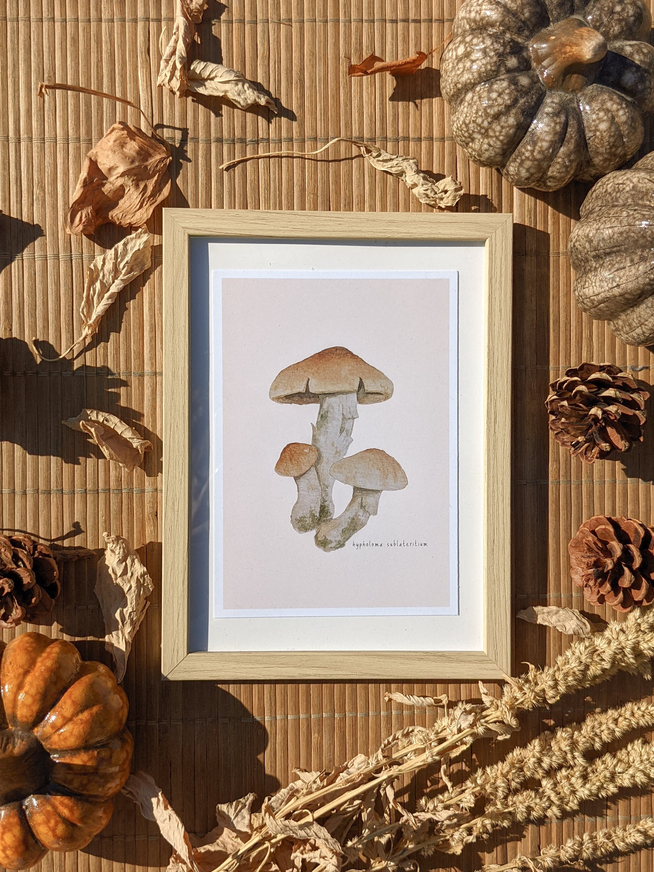 Carte Illustration Champignon Aquarelle A6 Modèle Hypholome