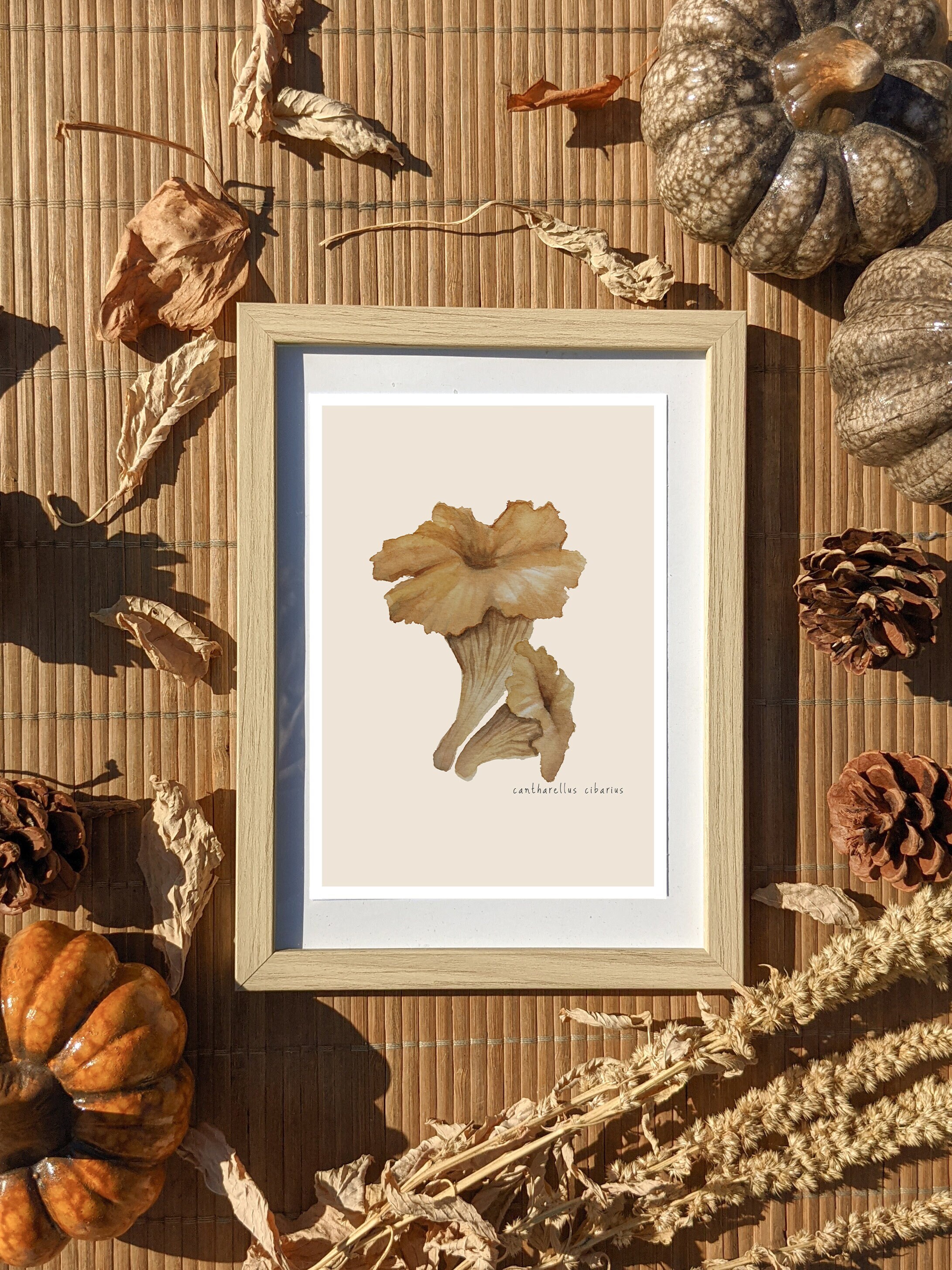 Carte Illustration Champignon Aquarelle A6 Modèle Girolle