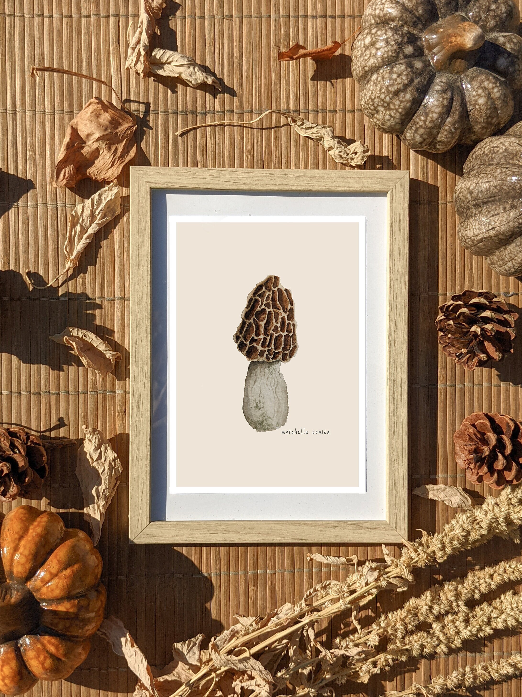 Carte Illustration Champignon Aquarelle A6 Modèle Morille