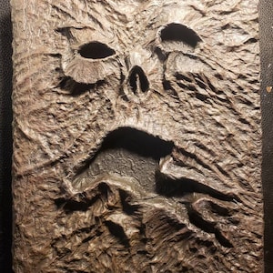 Può includere: Una copertina di libro dettagliata e strutturata con un aspetto usurato e invecchiato. La copertina presenta un volto scolpito con orbite oculari aperte, un naso e una bocca spalancata, creando un'estetica inquietante. Il colore è un mix di marroni e grigi.