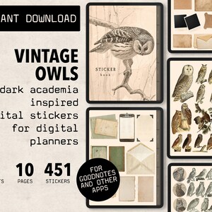 Puede incluir: Un paquete de pegatinas digitales con ilustraciones vintage de búhos en un estilo dark academia. El paquete incluye 451 pegatinas en 10 páginas y 2 formatos. El texto "FOR GOODNOTES AND OTHER APPS" también está incluido en la imagen.