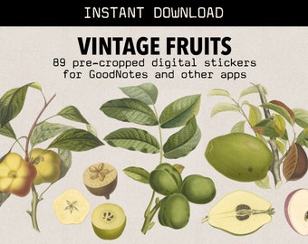 89 Pre-Cropped Vintage Fruit Digital Stickers for Digital Planners and Digital Scrapbooks