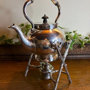 May include: A silver-colored tea kettle with a curved handle and a small, dark-colored knob on the lid. The kettle sits on a decorative stand with a branch-like design. The stand has a small burner underneath.