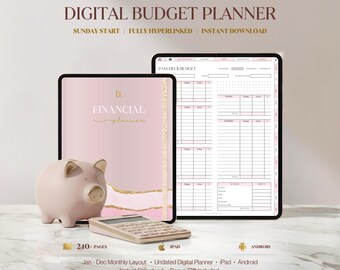 Digital Finance Planner, Digital Budget Planner, Paycheck Budget, Monthly Budget, Monthly Finance Planner, iPad Planner, Android Planner