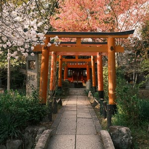 Puede incluir: Una puerta torii japonesa tradicional, una estructura de color naranja brillante con detalles negros, se encuentra en la entrada de un camino bordeado de exuberante vegetaci&oacute;n. La puerta est&aacute; rodeada de &aacute;rboles con flores rosadas y follaje verde.