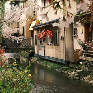 Puede incluir: Un canal estrecho fluye a trav&eacute;s de un barrio japon&eacute;s con edificios tradicionales y cerezos en flor. Linternas rojas cuelgan de los edificios y un puente cruza el canal.