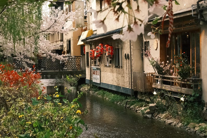 Puede incluir: Un canal estrecho fluye a trav&eacute;s de un barrio japon&eacute;s con edificios tradicionales y cerezos en flor. Linternas rojas cuelgan de los edificios y un puente cruza el canal.