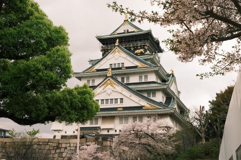 Puede incluir: Un castillo japon&eacute;s blanco y verde con detalles dorados. El castillo est&aacute; rodeado de &aacute;rboles y flores.