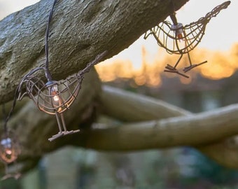 Solar Robin Light Chain