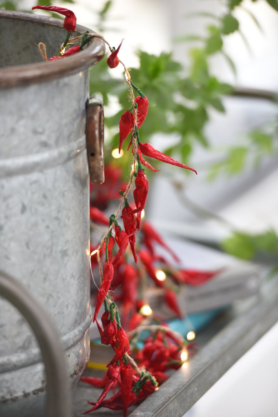 Chili Pepper String Lights, 20 Lit Chilies, Battery Operated - Etsy