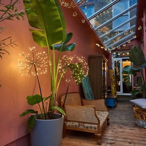 May include: An interior courtyard with a large potted plant, two wicker chairs, and fairy lights. The plant has large green leaves and decorative lights. The walls are painted a reddish-pink colour, and the floor is made of wooden planks.
