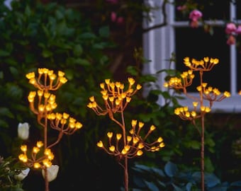 Solar Fennel Branch