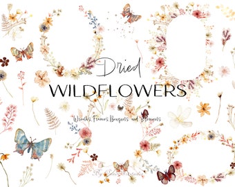 Watercolor Dried Wildflower Clipart Set (Digital Download)