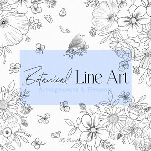 Floral Line Art Clipart, Dessin au trait pivoine, Dessin au trait fleur noir et blanc, Clipart botanique, Clipart Floral botanique, Rose Line Art, PNG