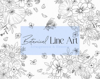 Floral Line Art Clipart, Peony Line Art, Black and White Flower Line Art, Botanical Clipart, Botanical Floral Clipart, Rose Line Art, PNG