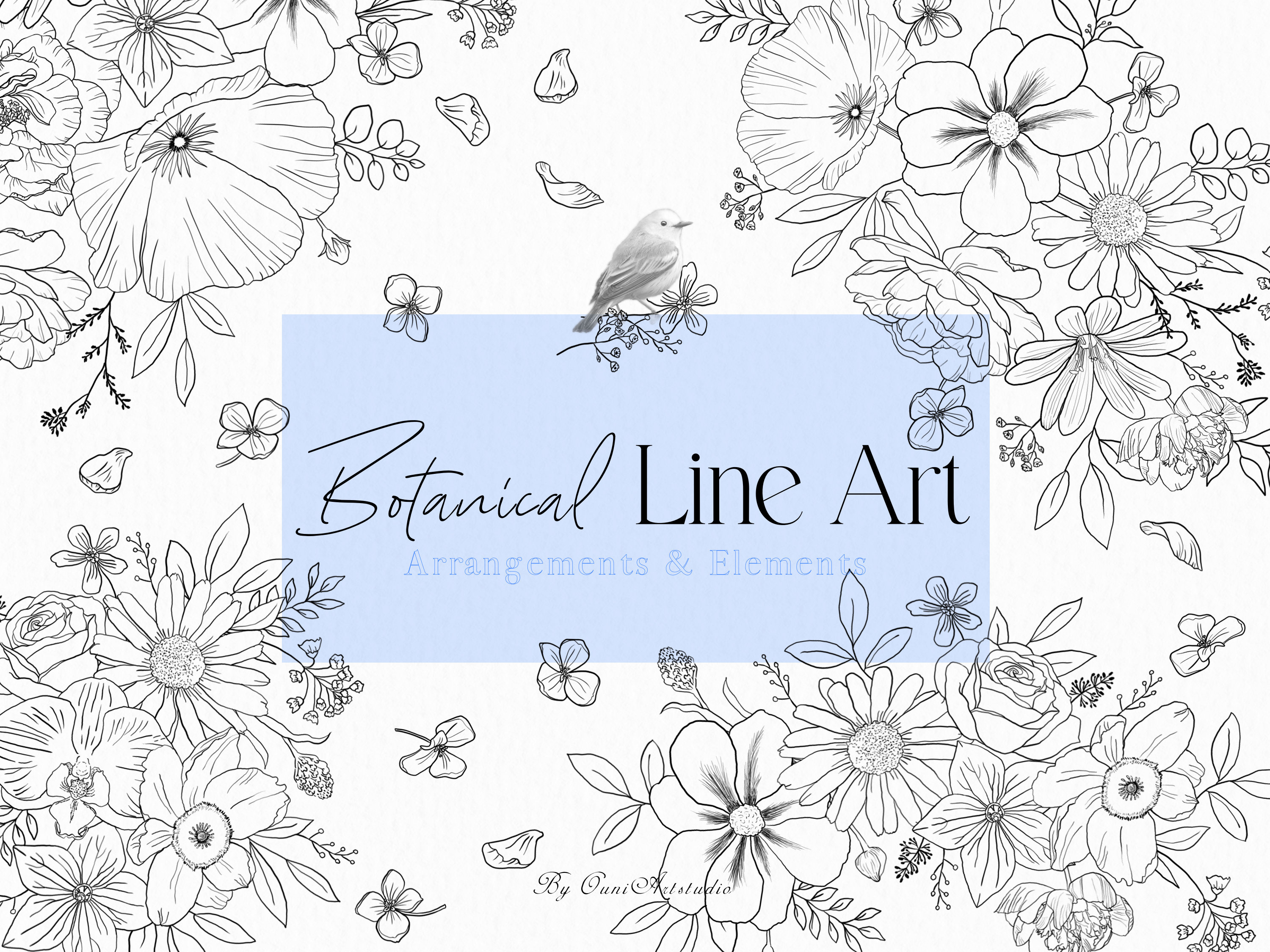 Floral Line Art Clipart, Peony Line Art, Black and White Flower Line ...