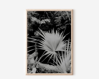Black and White Palm Leaf Print, Tropical Botanical Art (Digital Download)