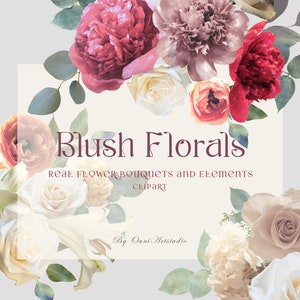 Pfingstrose Blumen Clipart, Rose, Blush Pink, echte Blume PNG Photoshop Clipart, Eukalyptus, Boho Blumen, Botanische Collage Blume, Pfingstrose digital