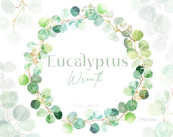Könnte beinhalten: Ein Aquarellbild eines Eukalyptus-Kranzes mit grünen Blättern und weißen Blüten. Der Kranz befindet sich auf einem weißen Hintergrund und der Text "Eucalyptus Wreath" ist in der Mitte geschrieben.