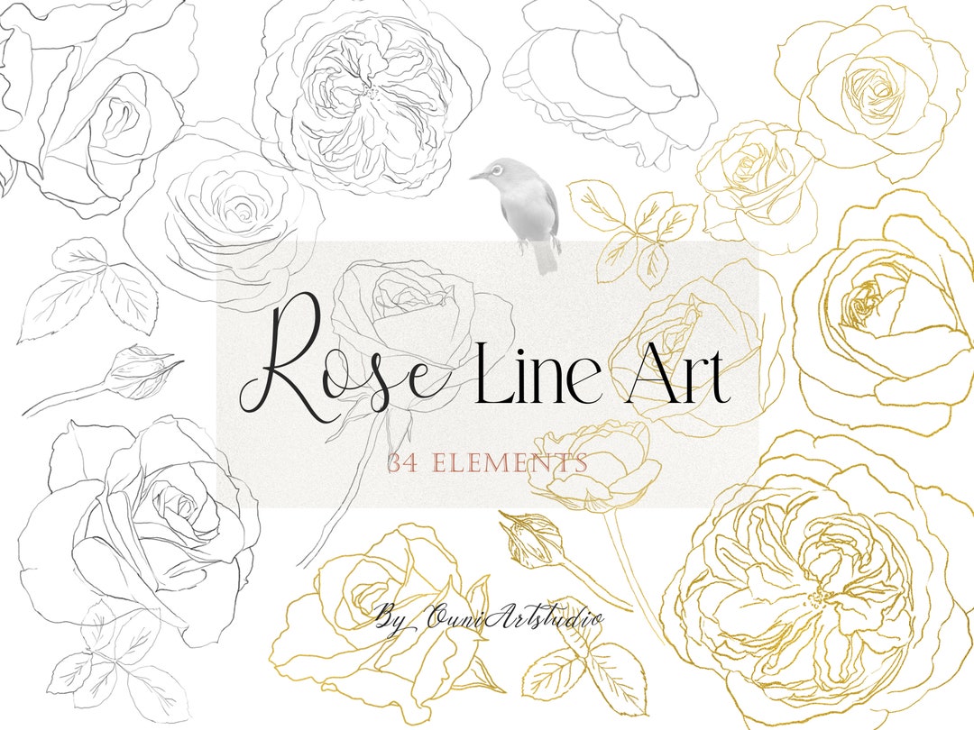 Clipart dessin au trait rose, éléments floraux dorés (téléchargement ...
