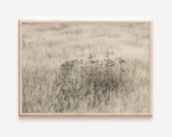 Boho Wildflower Field Photography Print (Digital Download)