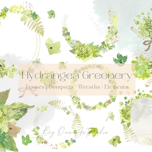Hortensia illustraties, aquarel botanische, groen krans, groen, goud, lijntekeningen bladeren, varens, frame, handgeschilderd boeket, gebladerte, PNG