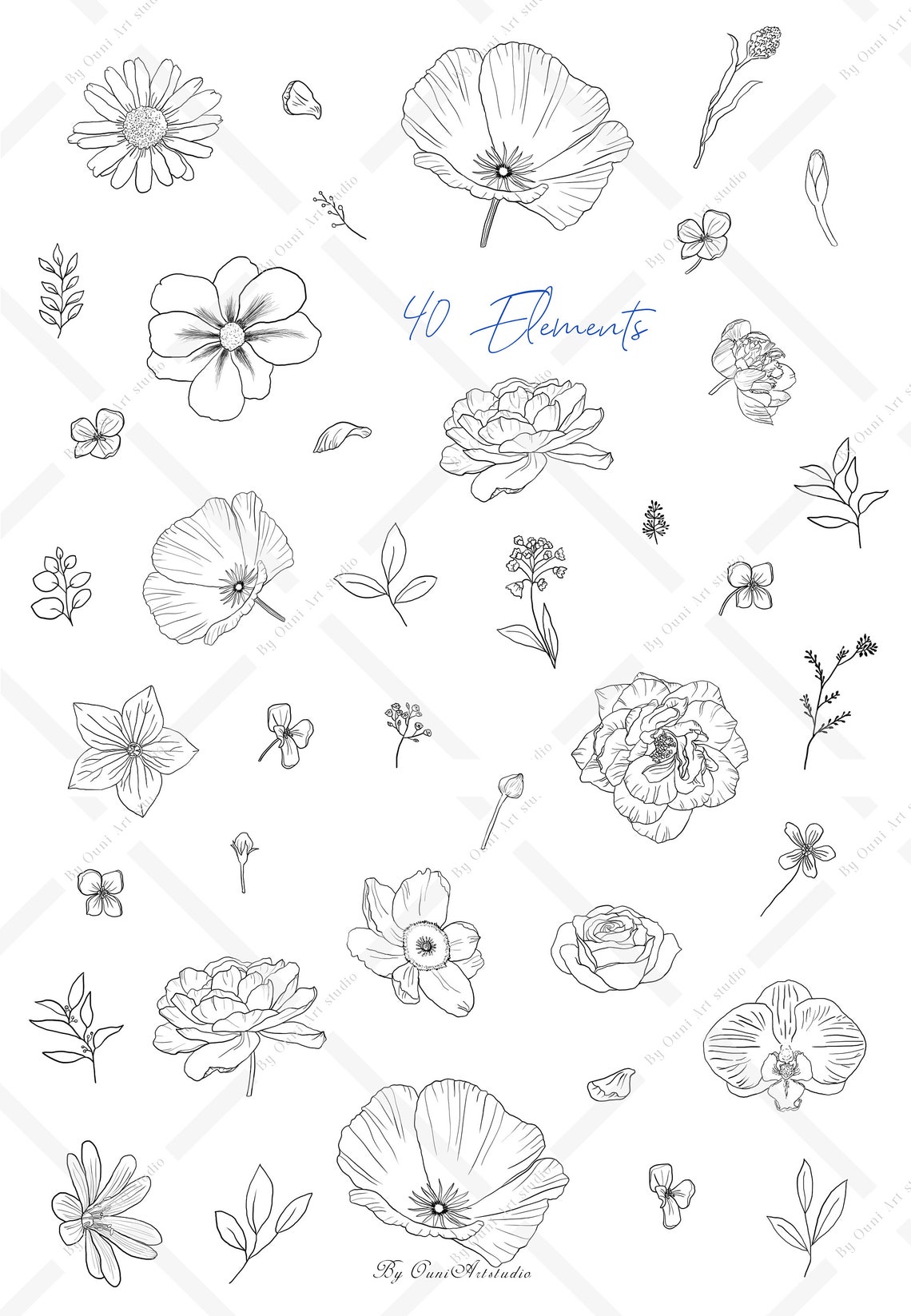 Floral Line Art Clipart, Peony Line Art, Black and White Flower Line ...