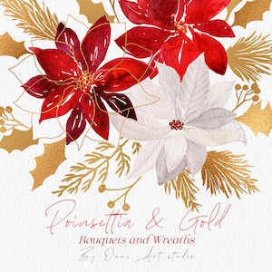 Poinsétia em aquarela, clipart de poinsétia, clipart de Natal dourado, Natal floral de inverno, florais vermelhos da Borgonha, branco, guirlanda de buquê de ouro