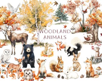 Woodland Clipart, Woodland Animals, Watercolor Forest Animal Clipart, Woodland Baby Clipart, Woodland Nursery Clipart, Fall Woodland Clipart